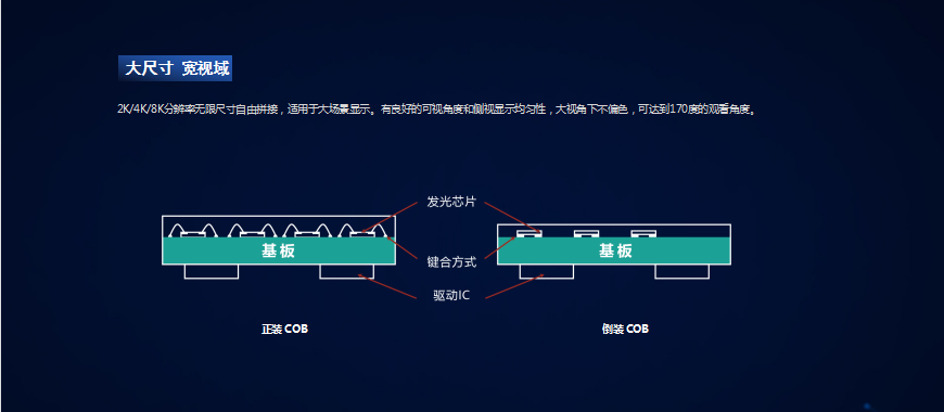 正/倒装COB(图6)